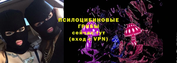 трава Новодвинск