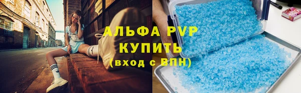 крисы Абаза