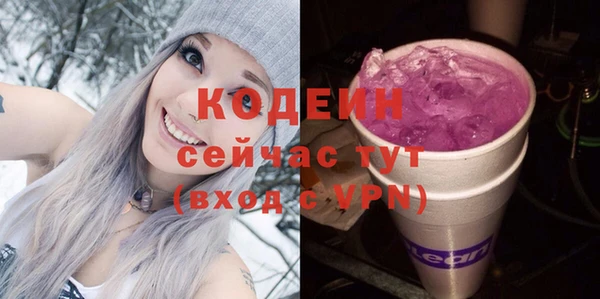 крисы Абаза