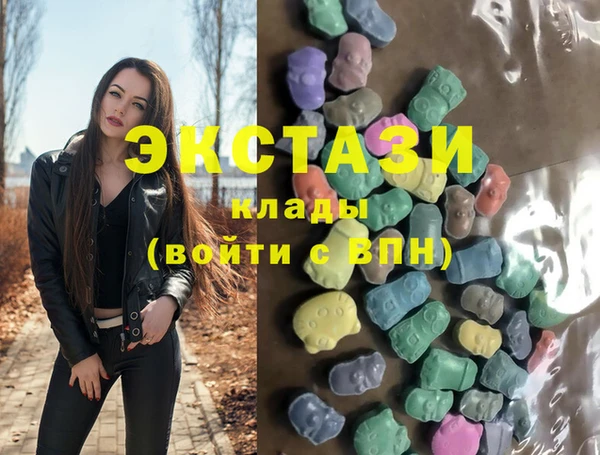 СК Новозыбков
