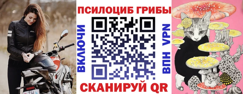 Псилоцибиновые грибы мицелий  Цивильск 